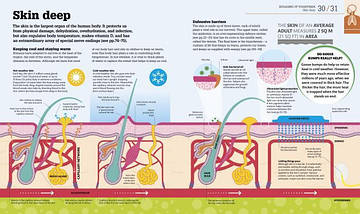 How the Body Works. The Facts Simply Explained., фото 3