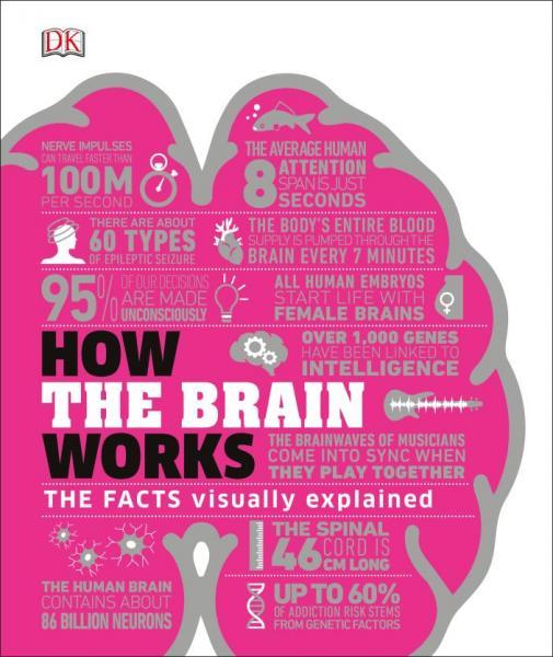 How the Brain Works. The Facts Visually Explained.