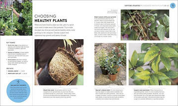 RHS How To Garden When You're New To Gardening. The Basics For Absolute Beginners., фото 2