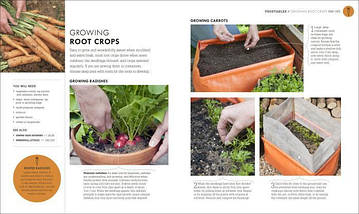 RHS How To Garden When You're New To Gardening. The Basics For Absolute Beginners., фото 3