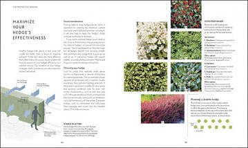 RHS Your Wellbeing Garden. How to Make Your Garden Good for You., фото 3