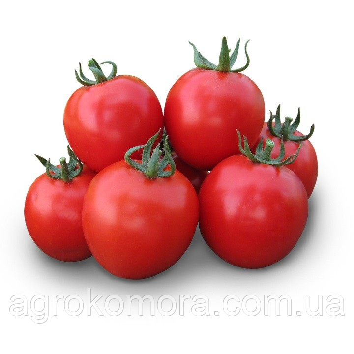 Асвон F1 томат детерм. 1тис.нас., Kitano Seeds, фото 1