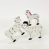 Сім'я овець тато, мама, дитинча