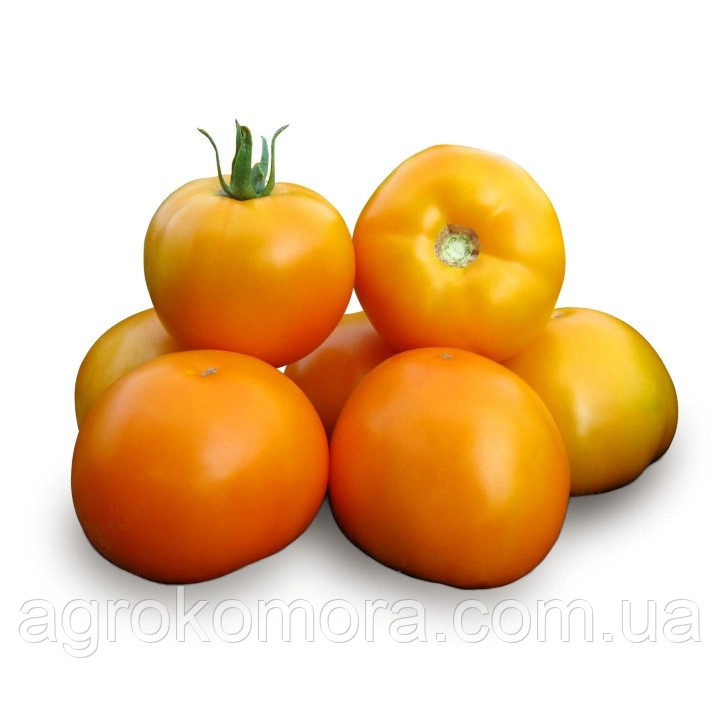 Нуксі F1 (KS 17 F1) томат жовтий детерм. 1 тис.нас., Kitano Seeds, фото 1