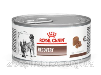 Royal Canin (Роял Канін) Recovery корм для собак і кішок в період відновлення після хвороби, 195 г