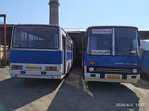 Производство и замена лобового стекла триплекс на автобусе Ikarus 260.50 в Никополе (Украина). 5