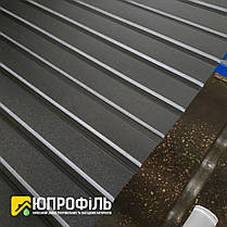 Профнастил для забору ПС 10 матовий Чорний RAL 9005 0.45 мм, фото 2