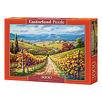 Пазл "Дорога", 3000 елементів Castorland (5904438300587)