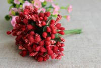 

Незабудка (сложные тычинки, добавки) искусственная красная