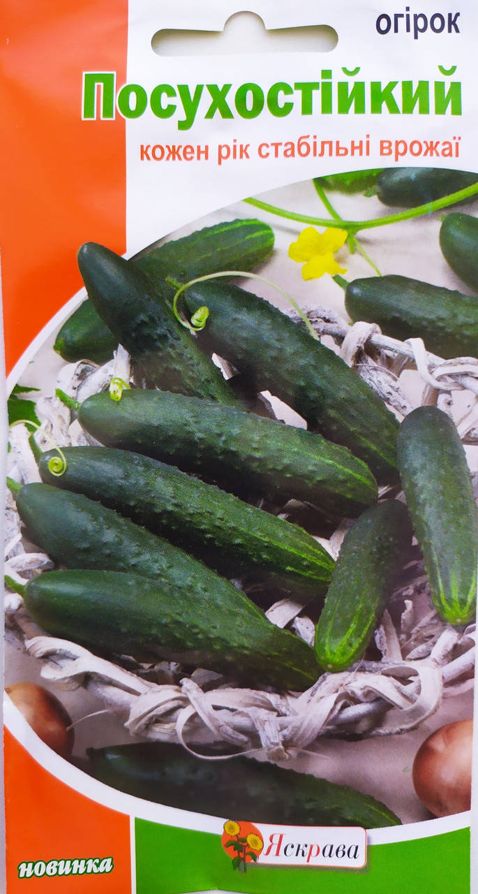 

Огірок Посухостійкий