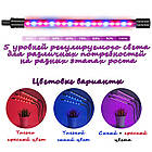 Фитолампа повного спектру для рослин і квітів, фото 3