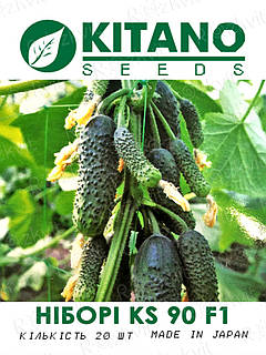 Насіння Огірка НІБОРІ (КС 90) F1 / NIBORI (KS 90) F1 — Kitano Seeds-20шт