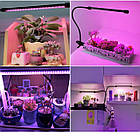 Фитолампа повного спектру для рослин і квітів, фото 6