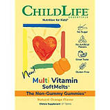Дитячі вітаміни для зору Healthy Vision 27 таб вітаміни для очей ChildLife USA, фото 2