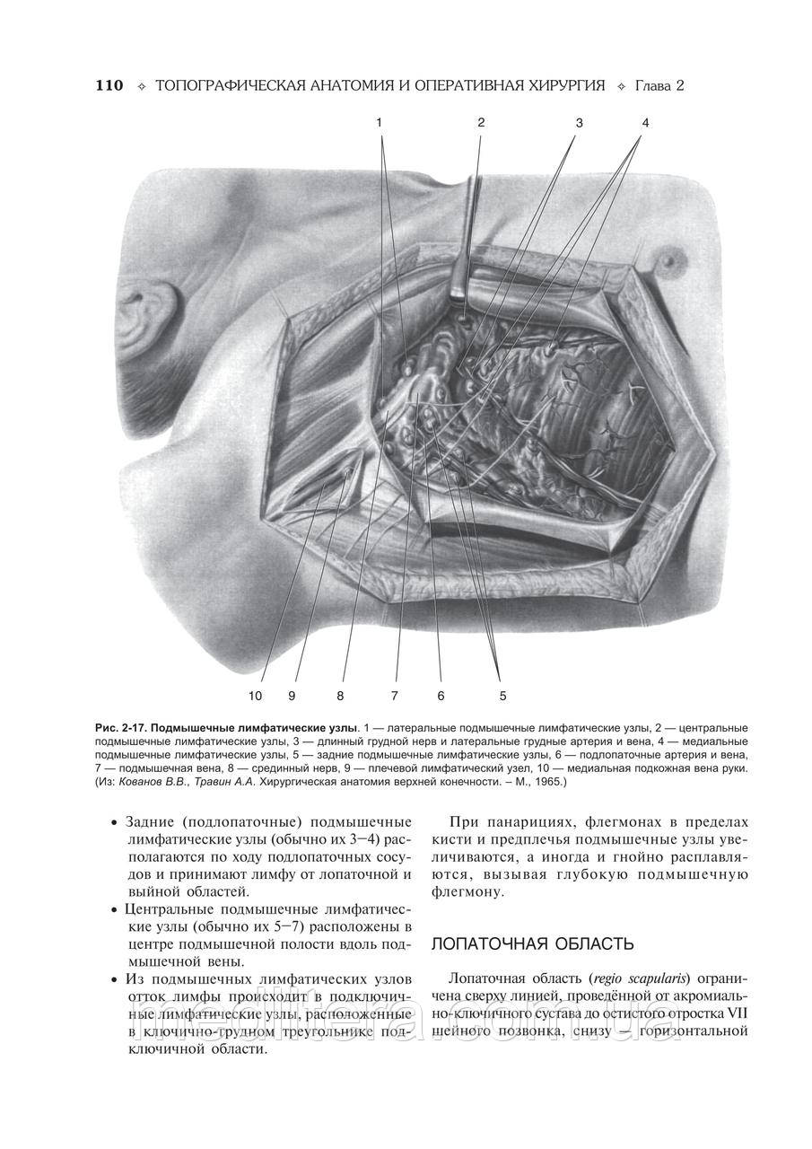 Топографическая анатомия и оперативная хирургия. Учебник. Том 1 и 2 ...