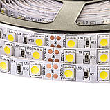 Led-стрічка світлодіодна 12 В біла AVT smd5050 60 LED/m IP65 (лід стрічка), фото 3
