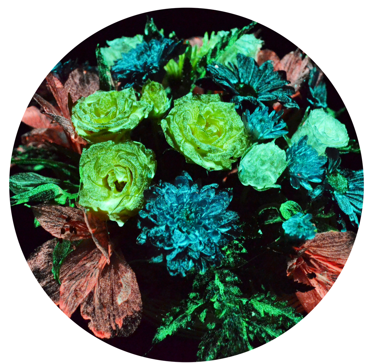 Світна фарба для квітів Acmelight 50 мл, фото 1