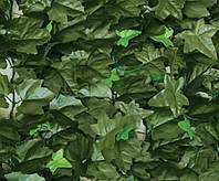 Декоративне зелене покриття Молода в'юнок 100х300 см GC-05