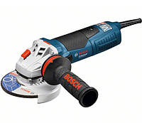 Кутова шліфувальна машина Bosch GWS 19-125 CIE Professional (060179P002)