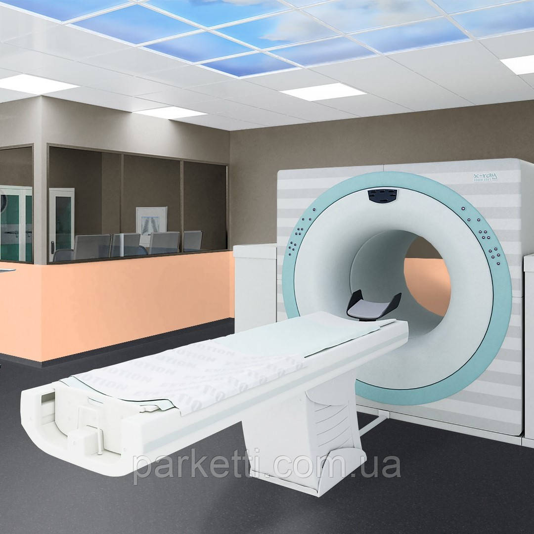 DLW 2424-059 Royal Conductive light grey струмопровідний гомогенний комерційний лінолеум, фото 1