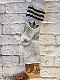 Шкарпетки чоловічі високі. р.43-45. Туреччина, фото 4