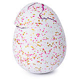 Хетчималс Хетчиббиз Юнікет Spin Master / Hatchimals HatchiBabies Unikeets Hatching Egg, фото 3