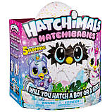 Хетчималс Хетчиббиз Юнікет Spin Master / Hatchimals HatchiBabies Unikeets Hatching Egg, фото 7