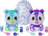 Хетчималс Хетчибейбіз Кітсі Spin Master / Hatchimals HatchiBabies Kitsee Hatching Egg, фото 4