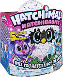 Хетчималс Хетчибейбіз Кітсі Spin Master / Hatchimals HatchiBabies Kitsee Hatching Egg, фото 8