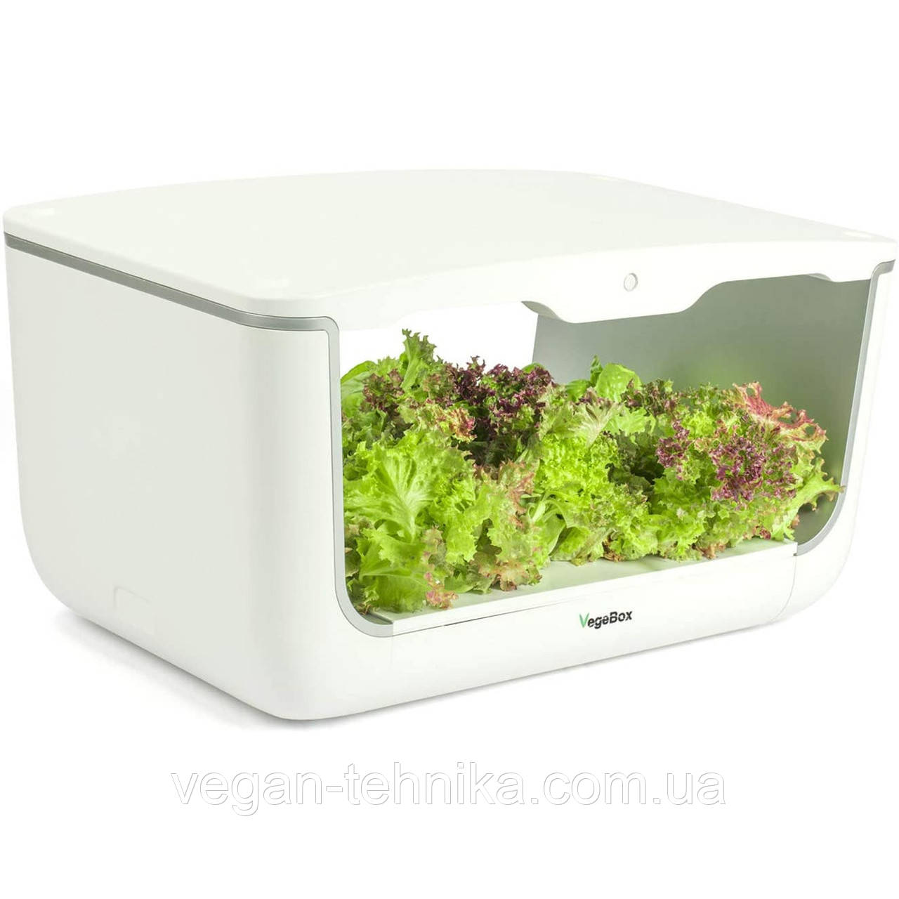 Гідропонне встановлення для вирощування рослин/пророщувач Vegebox BioChef Home Box - фото 4 - id-p214430111