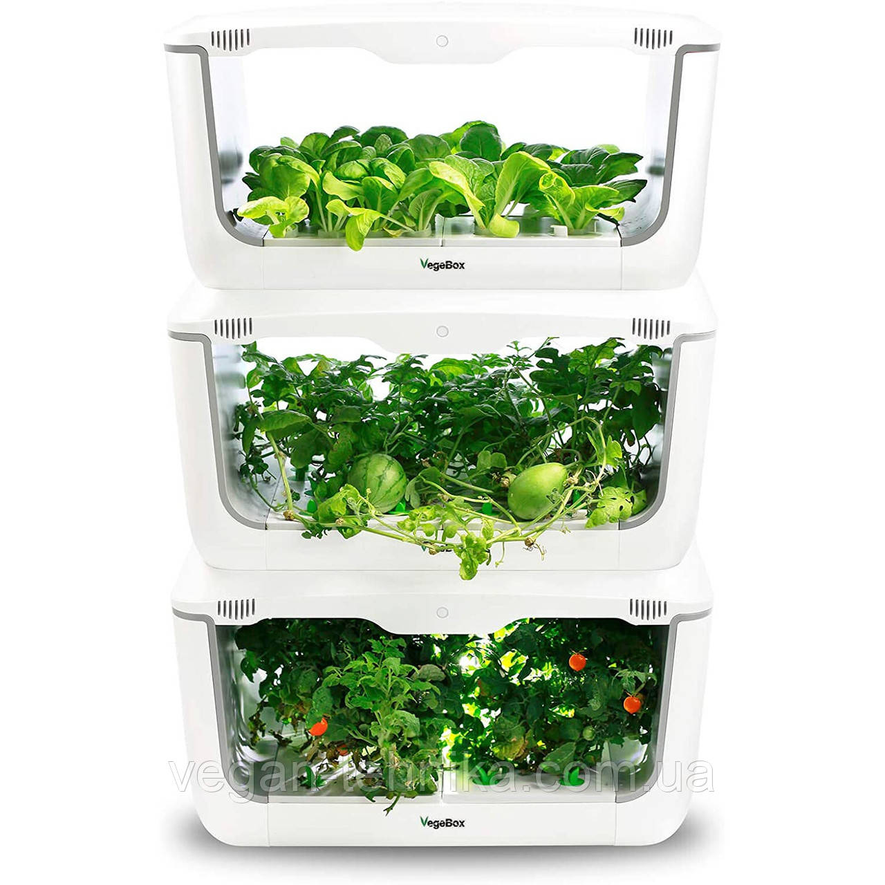 Гидропонная установка для выращивания растений / проращиватель Vegebox BioChef Home Box - фото 3 - id-p214430111