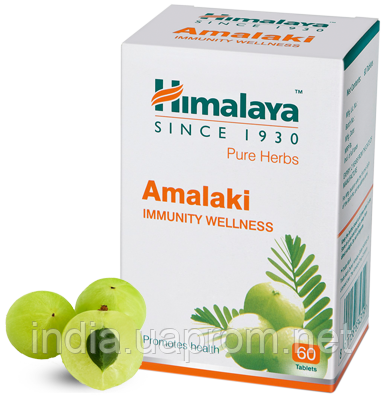 Амла, екстракт, Хімалая, 60 таб., Himalaya Amalaki, Amla, Амалаки, Хималая, підвищення імунітету, Аюрведа