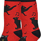 Шкарпетки Melody (р.36-41), фото 2