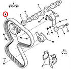 Ремінь ГРМ Fiat Ducato 230, Peugeot Boxer, Citroen Jumper (1994-2002) 1.9D/TD, 71739919, 081658, 1608488980, фото 3
