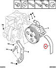 Ремінь ГУР на Fiat Ducato 244, Peugeot Boxer, Citroen Jumper (2002-2006) 2.0/2.2, 9624233680, 5750WT, фото 4