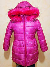 Куртка зима дівчаткам рожева в дрібних горох на овчині + фліс