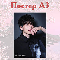 Постер плакат к-поп Ли Дон Ук Lee Dong Wook 42х29 см А3 (poster_0183)