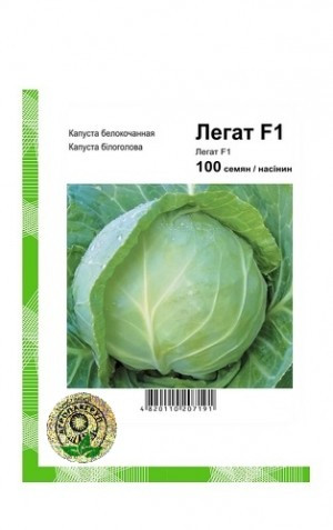 Насіння капусти Легат F1 (Clause) 1000 насінин — ультра-раннє (48-50 днів), білоголова