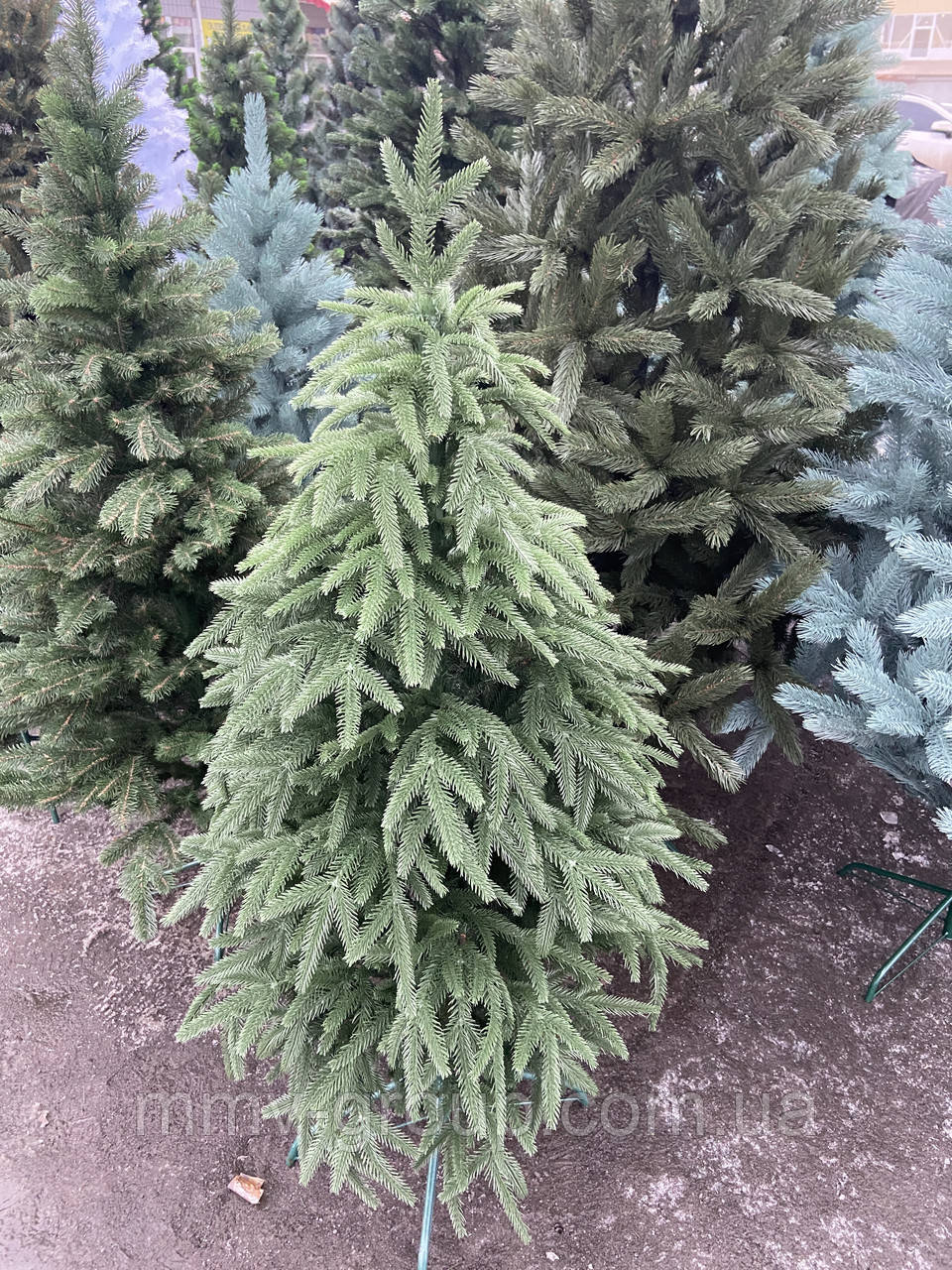 Ель новогодняя литая смерека 1,5 м, фото 1