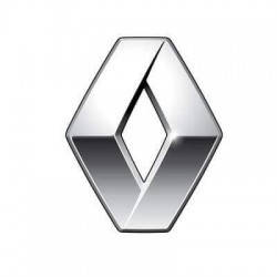 Дзеркала для RENAULT