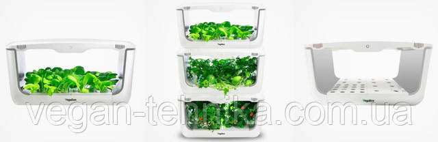 Гидропонная установка для выращивания растений / проращиватель Vegebox ...