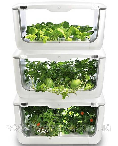 Гидропонная установка Vegebox™ by BioChef Home Box