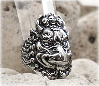 Перстень Бохо "Гаруда" нержавеющая сталь (размер 20-22)