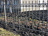 Металеві огорожі зварні секційні / Паркани металеві секційні, фото 7