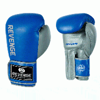Боксерские перчатки Revenge EV-10-1038-10унц