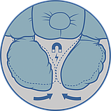 Дитяча анатомічна подушка для подорожей Olvi "Travel" J2302Travel, фото 6