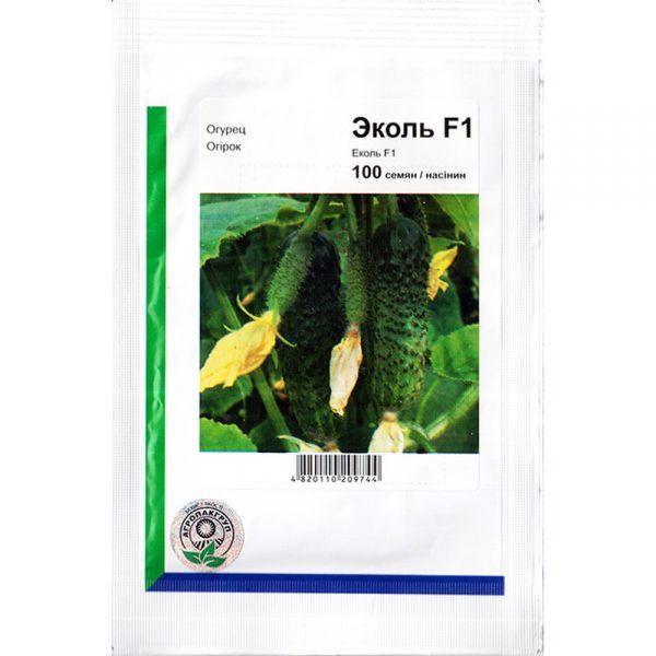 Насіння огірка Еколь F1, 100 насіння — ранній гібрид (42-45 днів), партенокарпік, Syngenta
