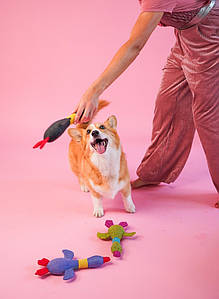 Іграшка качка для собак "пан Гусс" KIT&PES (kp-009)