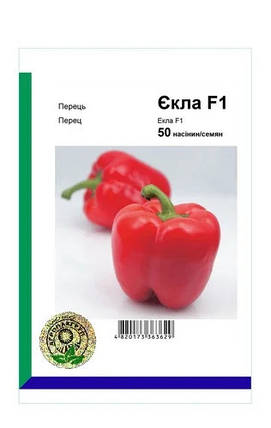 Екла F1 насіння перцю, 50 насінин — перець солодкий кубовидний, Syngenta, фото 2
