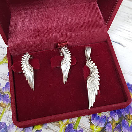 Крила Комплект Сережки, Кулон, Крильця, Крило, Срібло 925, Золото 585., фото 1